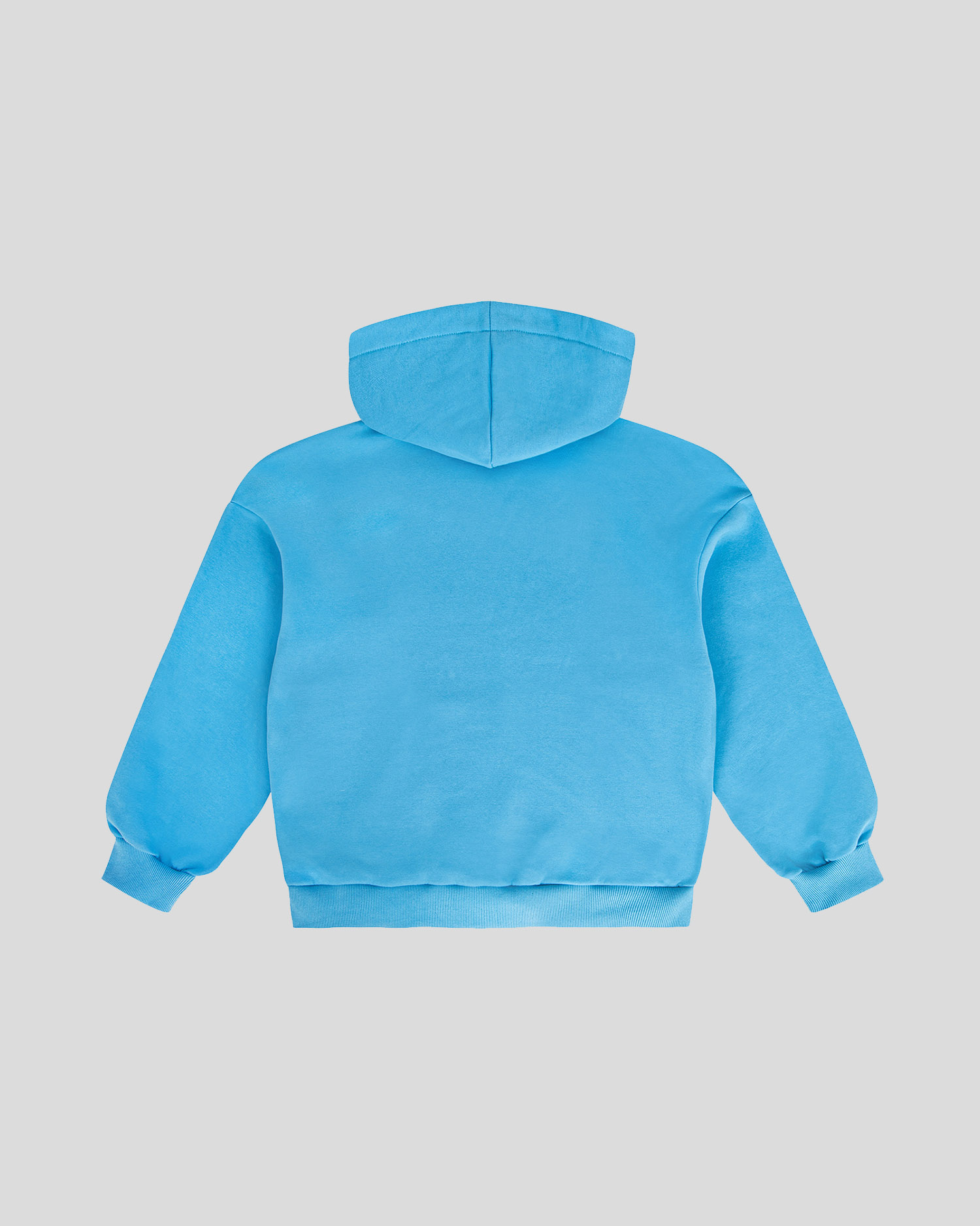Blue frotte hoodie