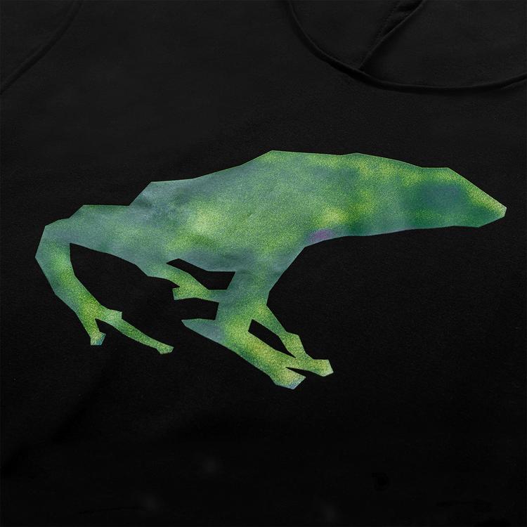 Frog hoodie